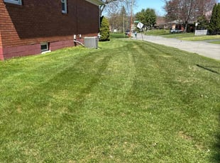 Mercedes S.'s turf maintenance service result