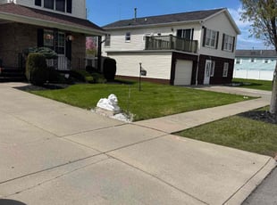 Marybeth C.'s grass cutting service result