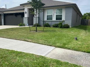Bradford G.'s turf care service result
