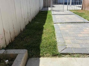 Sean T.'s lawn service service result