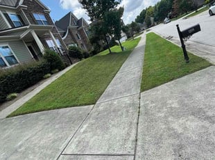 Diane W.'s lawn care services service result