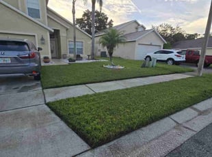 Sarah G.'s lawn maintenance service result