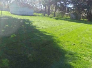 Jerry B.'s turf care service result