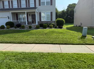 Savannah C.'s turf care service result