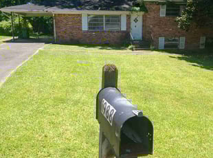 Denise C.'s grass cutting service result