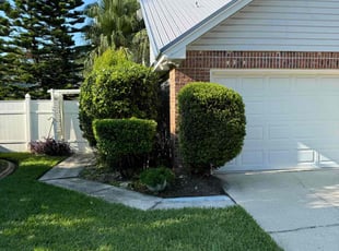 Cameron M.'s Bush Trimming service result