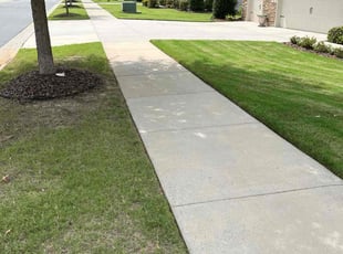 Shirley T.'s lawn care services service result