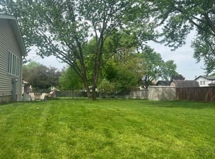 Lucene K.'s lawn care services service result