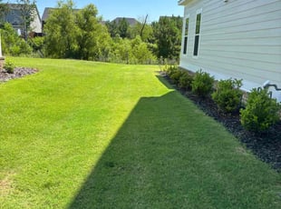 David R.'s lawn service service result