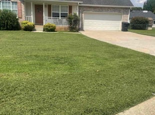 Joyce S.'s lawn care service result