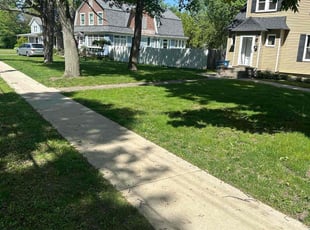 Lynn A.'s lawn service service result