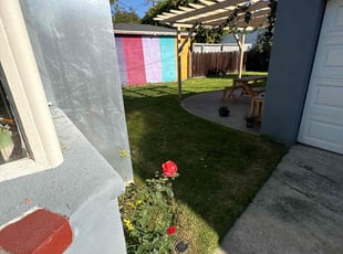 Deborah B.'s turf care service result