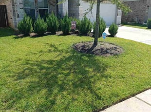 Robert T.'s turf care service result