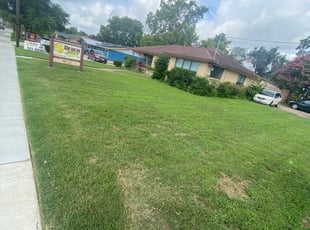 Stephen K.'s Bush Trimming service result