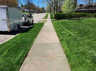 Sarah P.'s lawn maintenance service result
