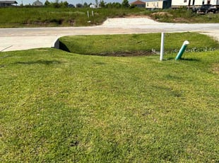 Mike B.'s lawn maintenance service result