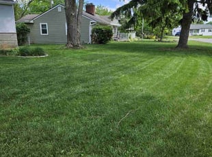 Austin Y.'s lawn maintenance service result