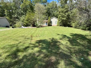 Linda J.'s turf care service result