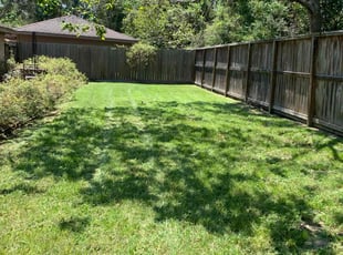 Ann-Maria C.'s grass maintenance service result