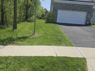 Maura J.'s turf care service result