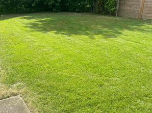 Maurice M.'s grass maintenance service result