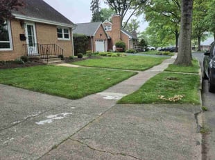 Shan K.'s grass cutting service result