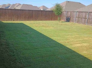 Raine A.'s lawn maintenance service result