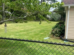 Kristin B.'s lawn care services service result