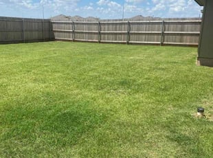 Thien-An N.'s turf maintenance service result