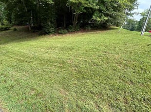 Jim S.'s turf maintenance service result