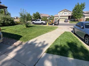 Justin B.'s lawn service service result