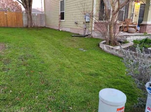 Susan C.'s turf maintenance service result