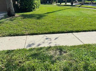 Curtis P.'s lawn care services service result