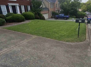 Jodi W.'s grass maintenance service result
