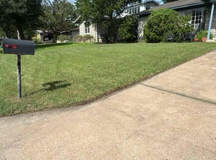 Kalee B.'s grass cutting service result