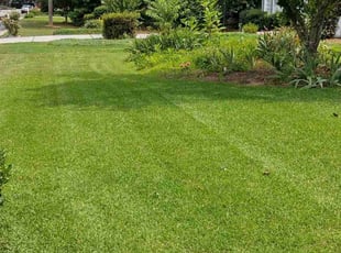 Kavesa R.'s lawn care service result