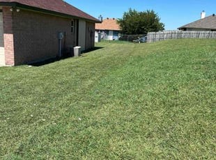 Jim B.'s grass cutting service result