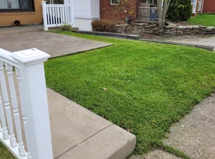 Trish V.'s lawn care service result
