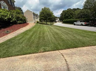 Phillip S.'s lawn service service result