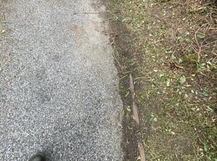 Stacey K.'s Bush Trimming service result