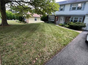 Benjamin M.'s lawn care services service result