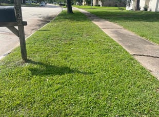 Sharon W.'s lawn maintenance service result
