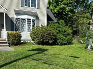 Nadine C.'s turf care service result