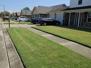 Anthony A.'s grass cutting service result