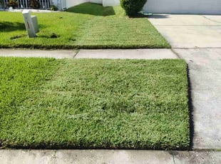 Clifford A.'s lawn maintenance service result