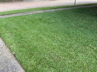 Deborah J.'s lawn care services service result