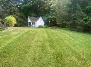 Syed H.'s grass cutting service result