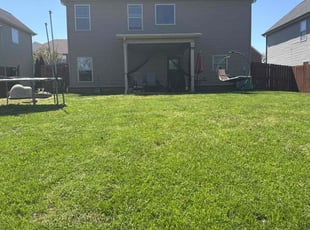Dagmar H.'s lawn service service result