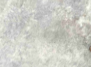 Pj M.'s lawn care service result