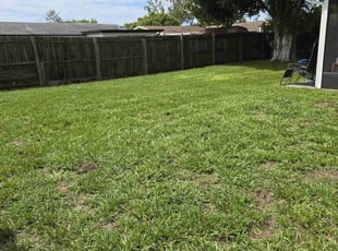 Dixie M.'s lawn care service result